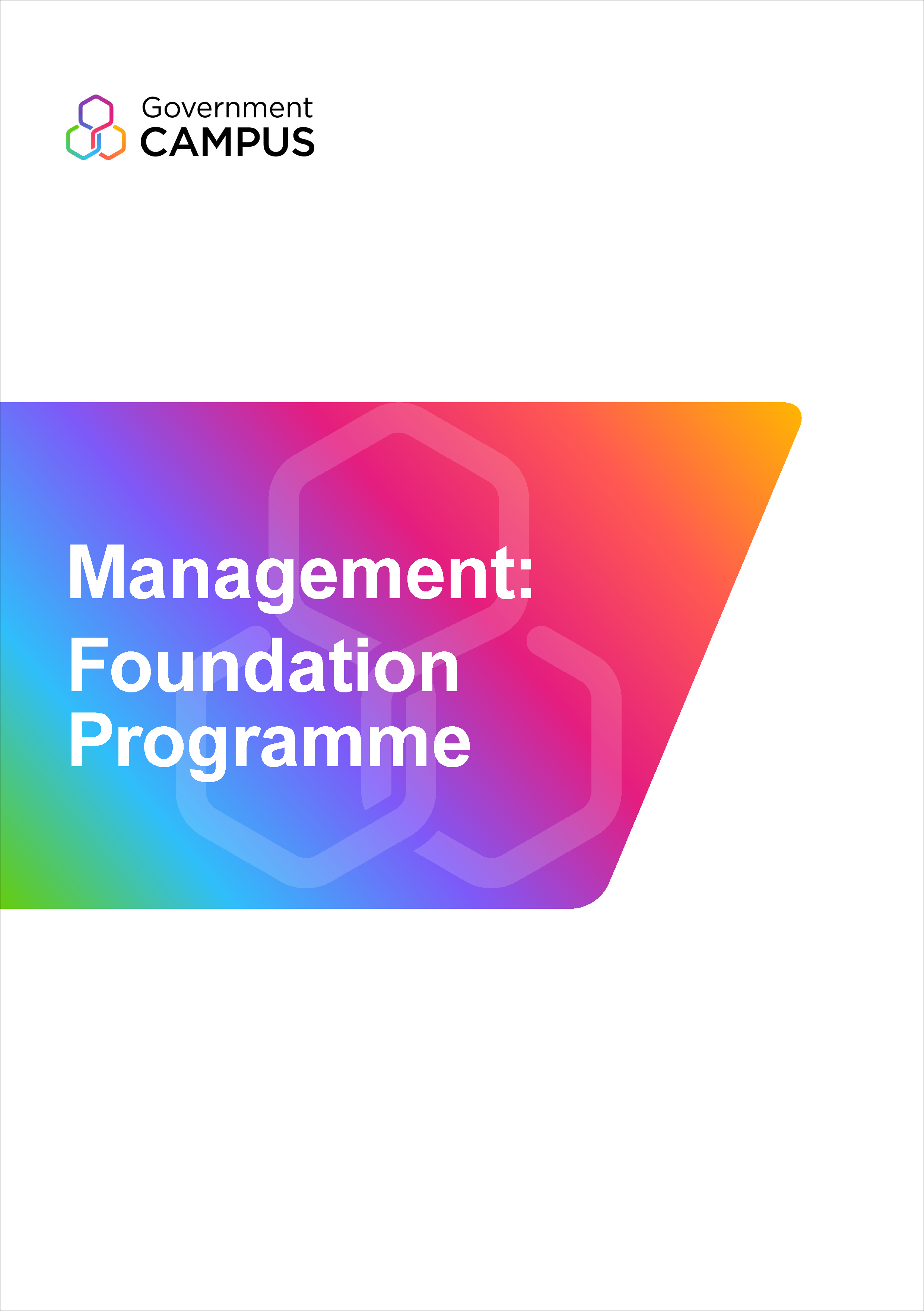 Management: Foundation Programme | Government Campus